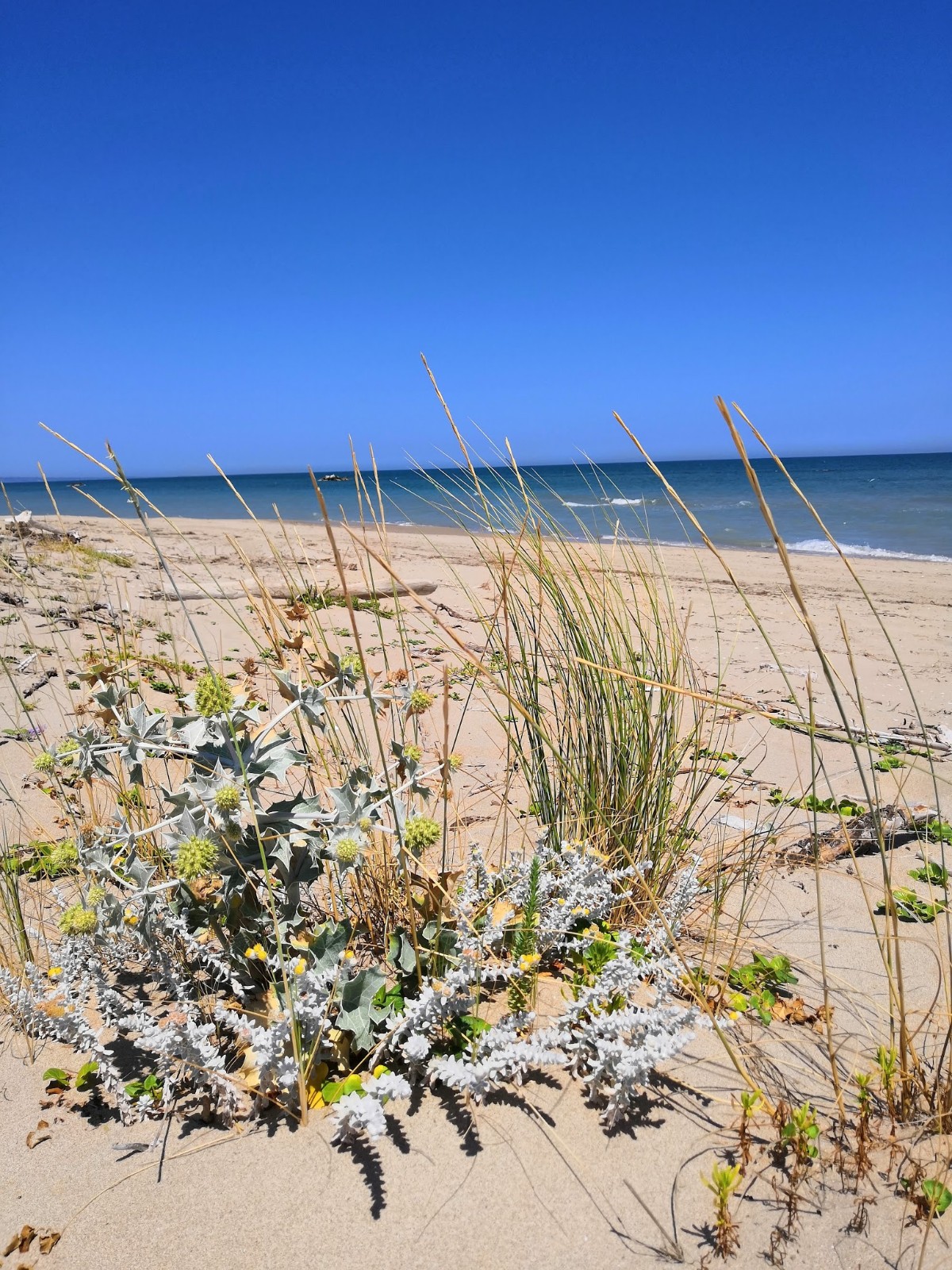 Lido Maremaje — foto 1