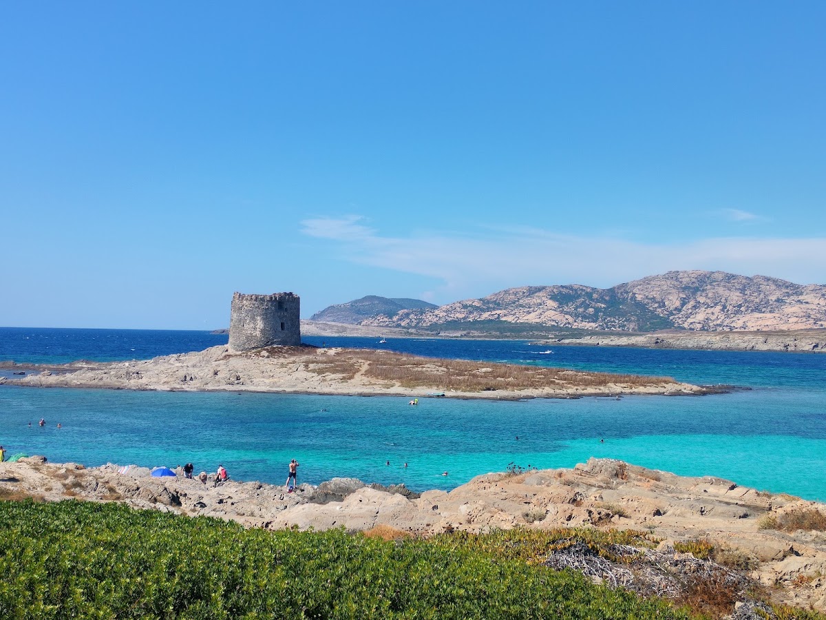 Spiaggia della Pelosetta — foto 1
