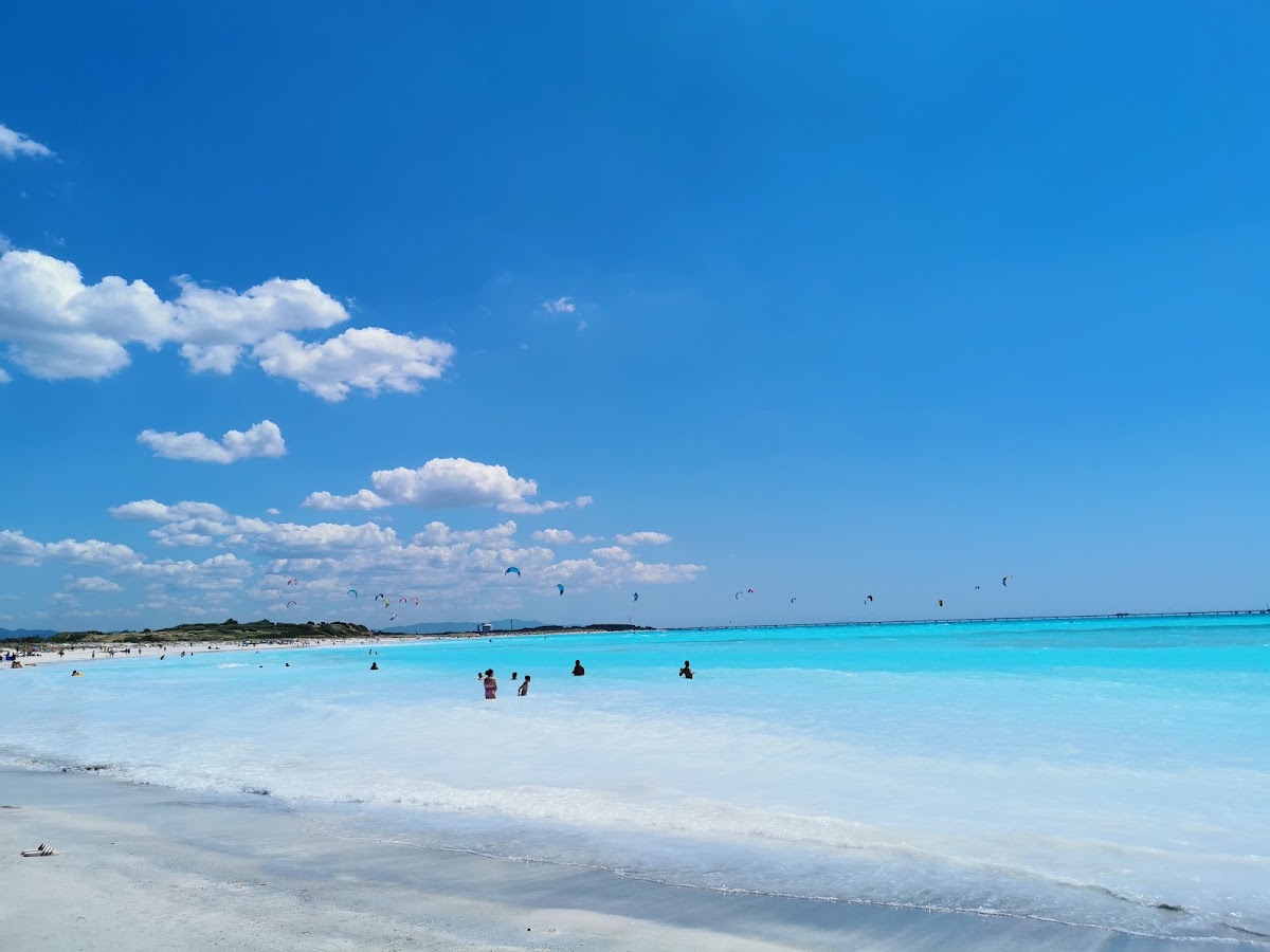 Spiagge bianche a Rosignano Marittimo — foto 1