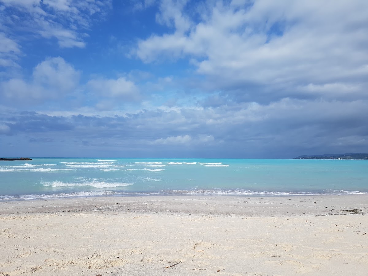 Spiagge bianche a Rosignano Marittimo — foto 2