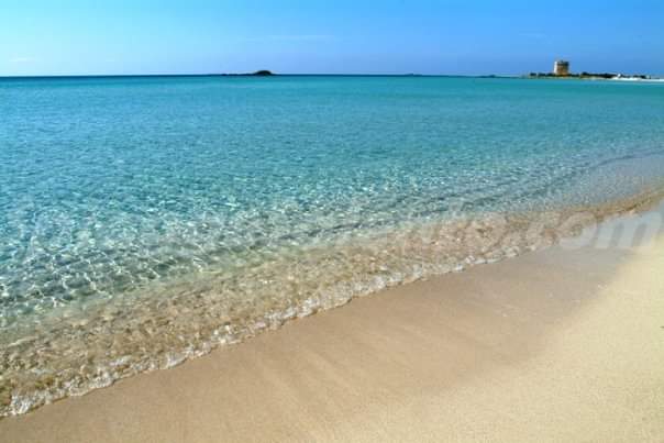 SPIAGGIA LIBERA a Salve — foto 2