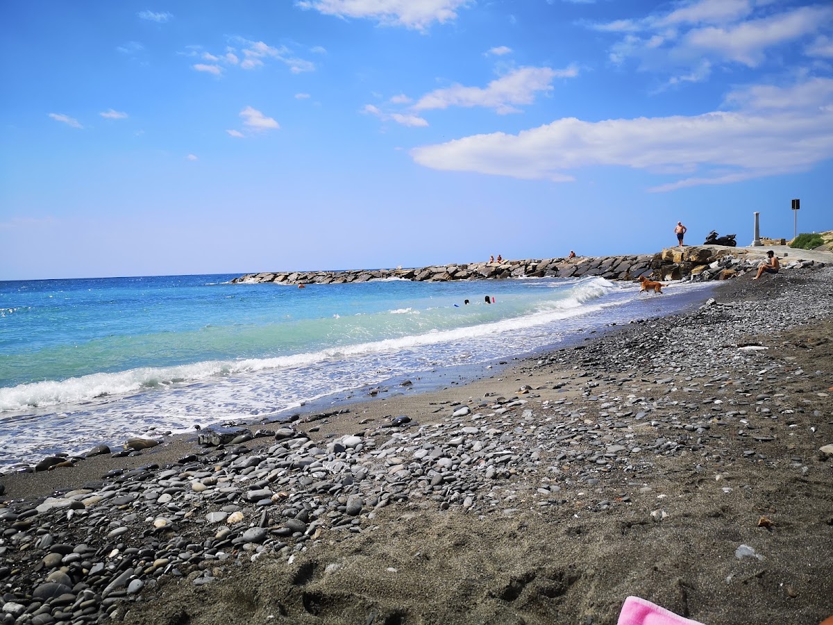 Spiaggia amica dei cani — foto 1