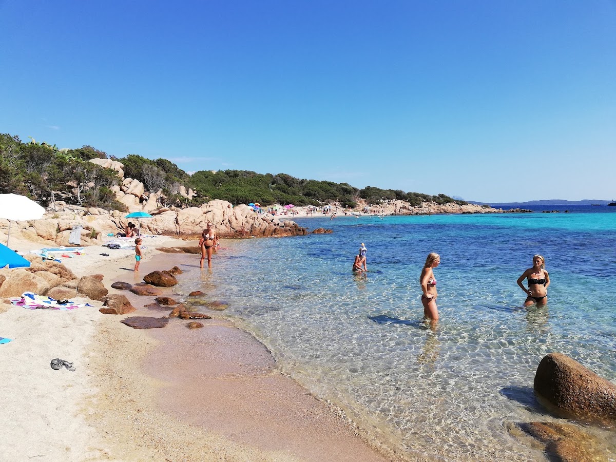 Spiaggia La Celvia a Arzachena — foto 1