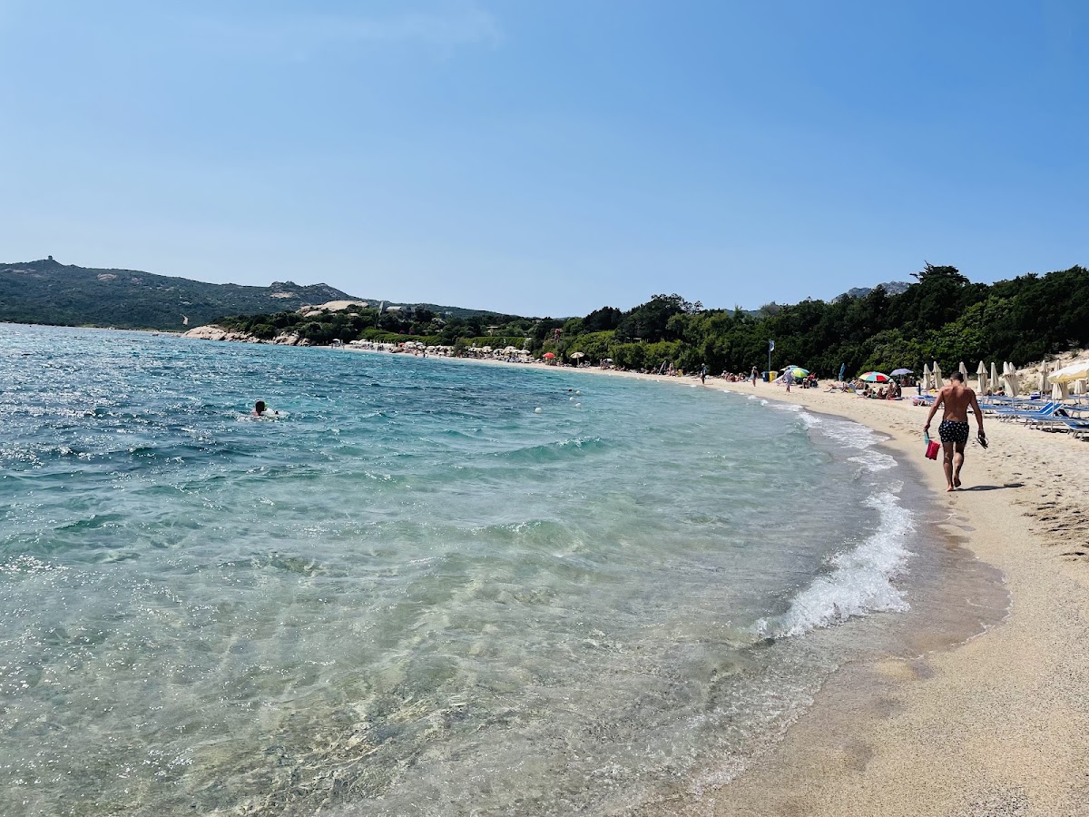 Spiaggia La Celvia a Arzachena — foto 2