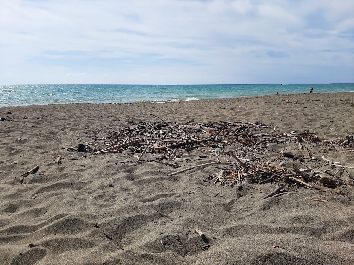 Bau Beach a Cecina — foto 1