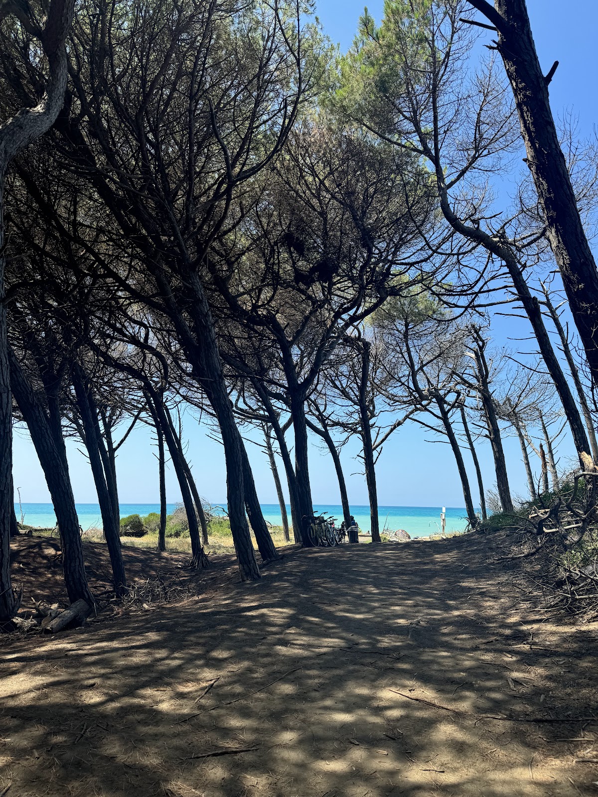 Bau Beach a Cecina — foto 2