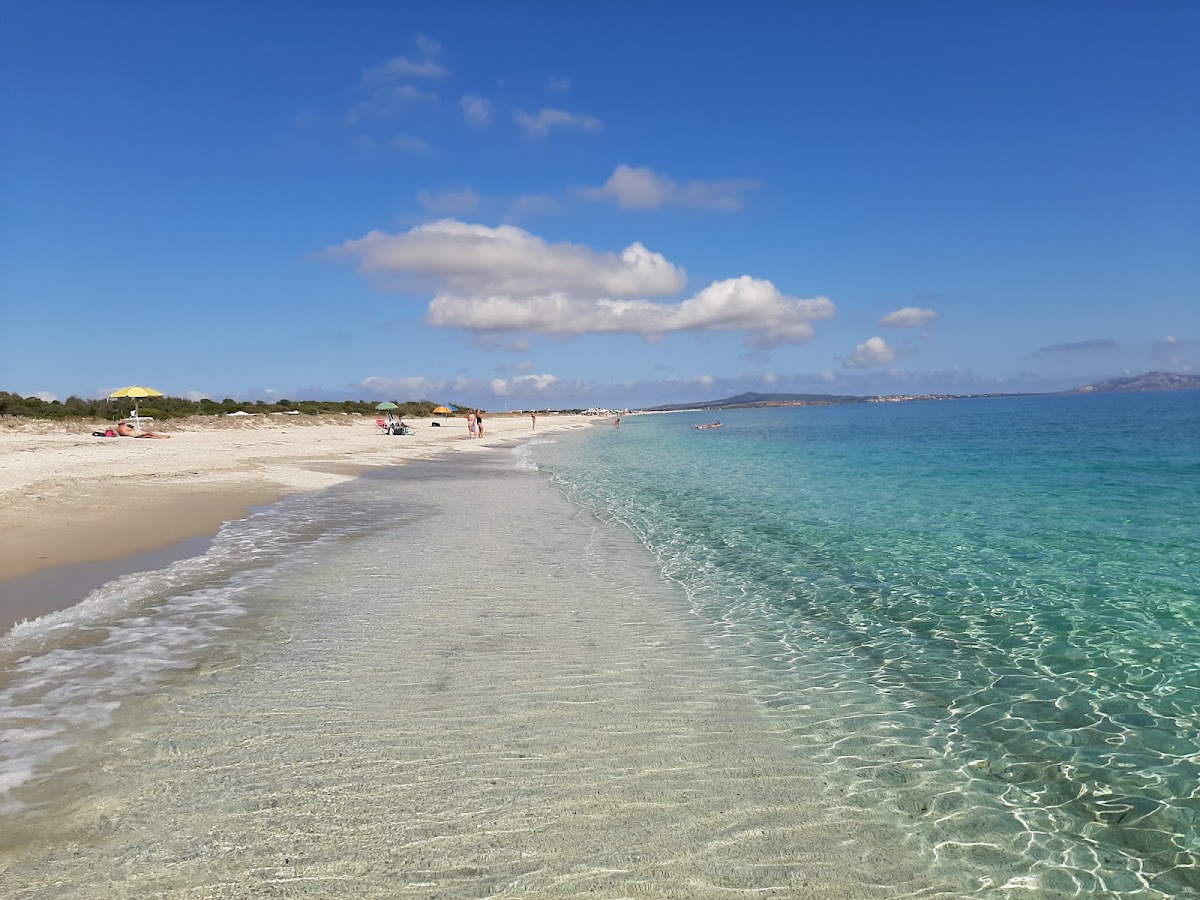 Spiaggia di Ezzi Mannu a Stintino — foto 1