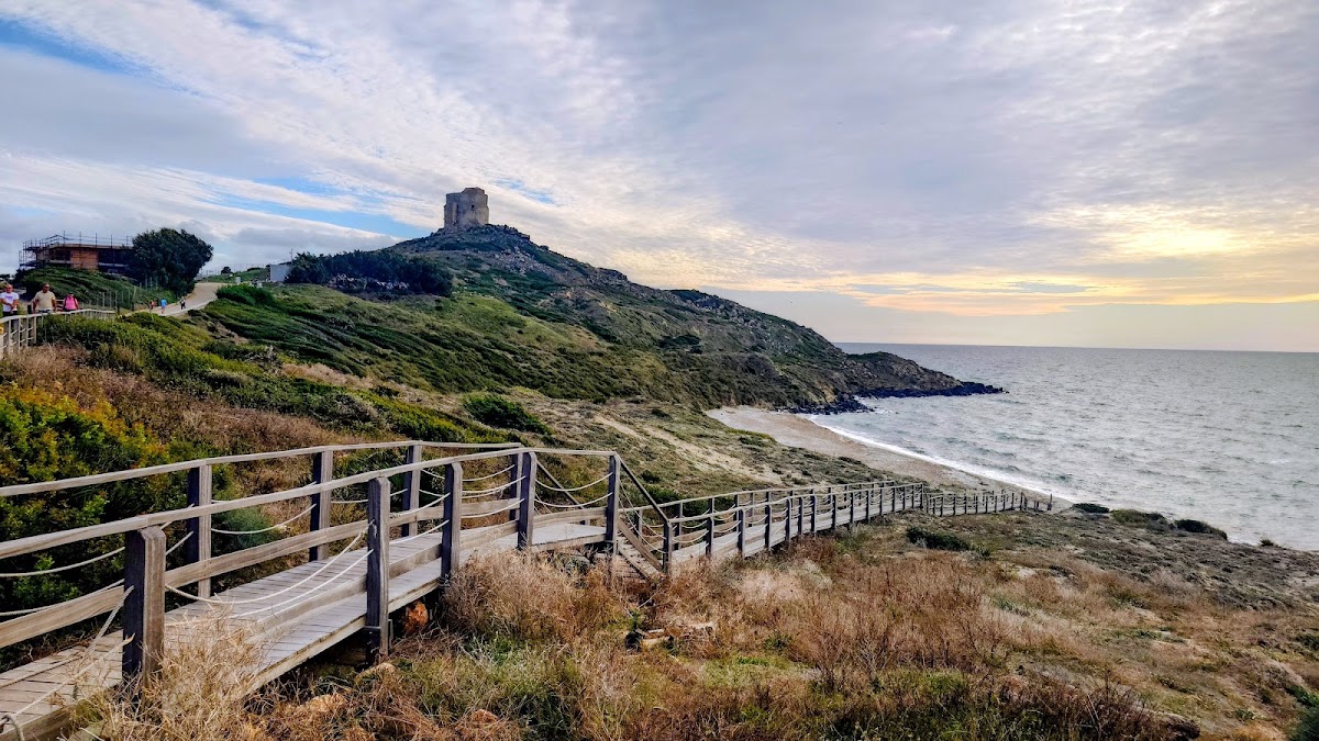 Dog Friendly Beach — foto 1