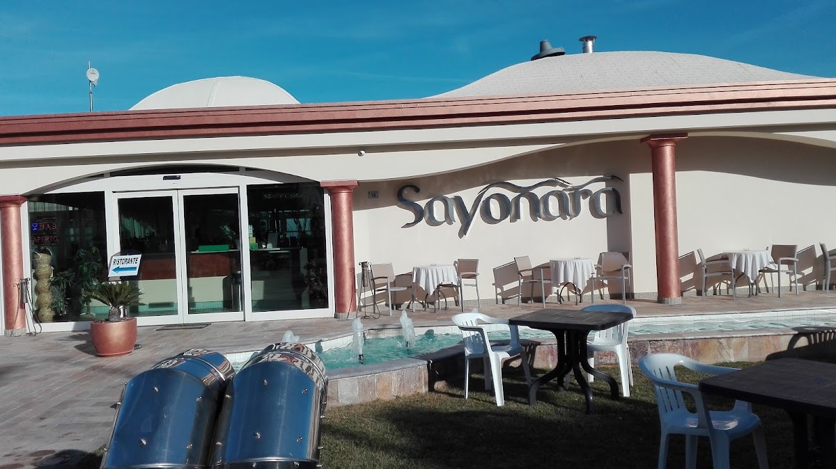 Sayonara — foto 1