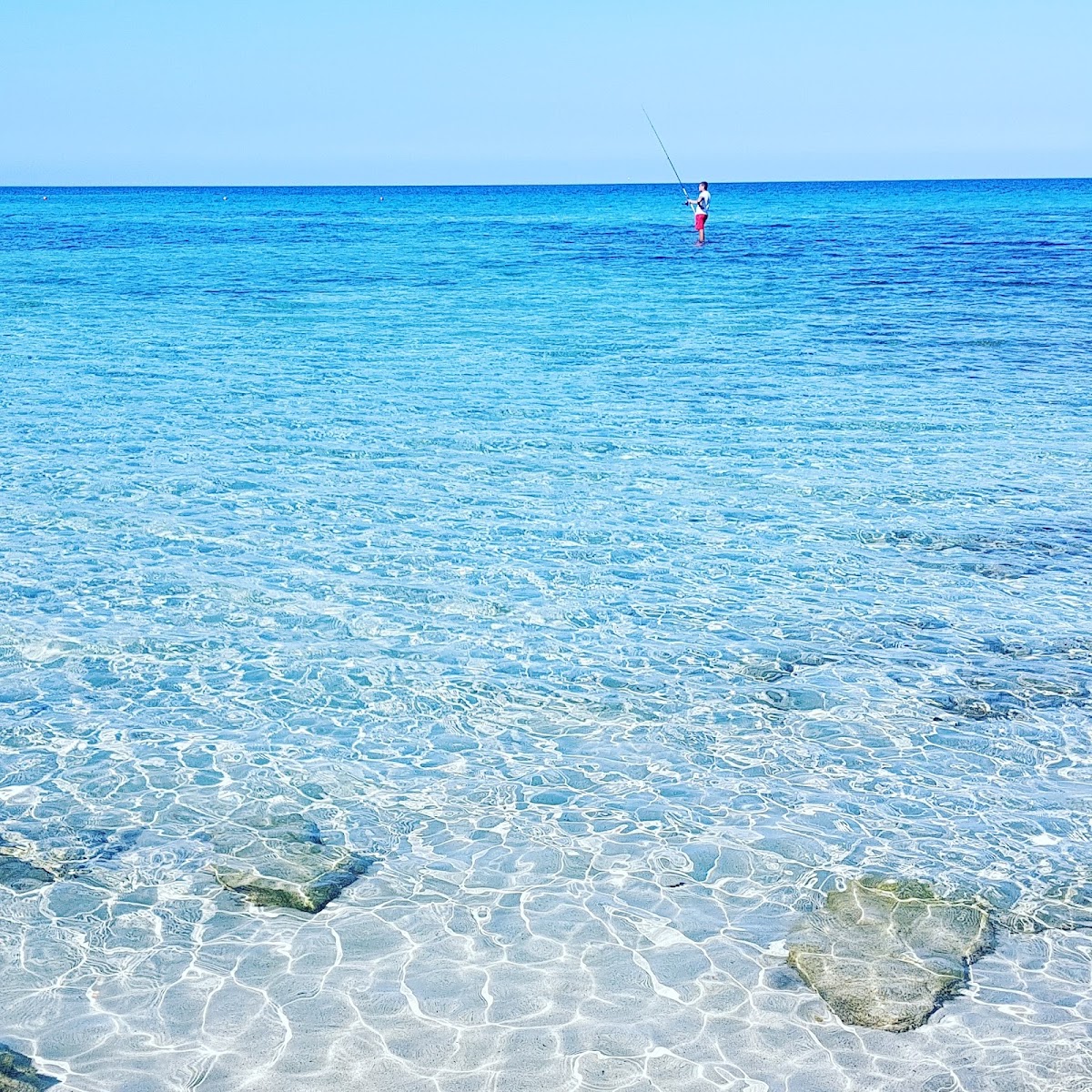 Spiaggia di Lido Conchiglie — foto 1