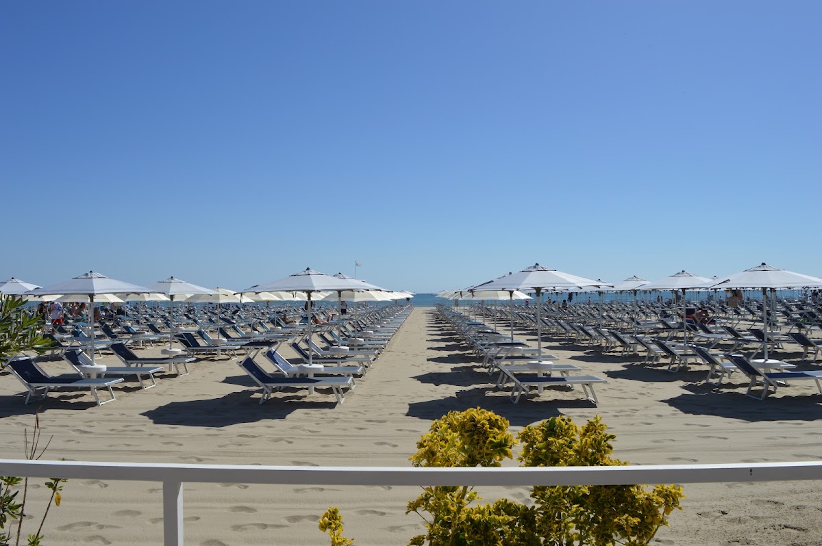 Bagno Delfino a Cervia — foto 1
